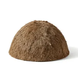 Wigwam