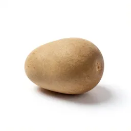 Bur
