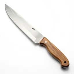 Clasp knife