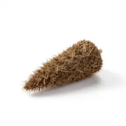 Marlinespike