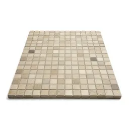 Mosaic floor tile section