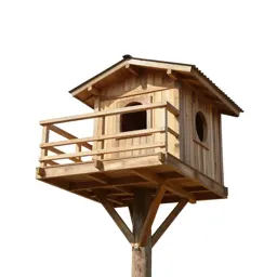Treehouse platform