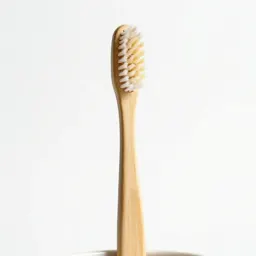 Toothbrush in a holder