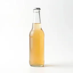 Bottle of kombucha