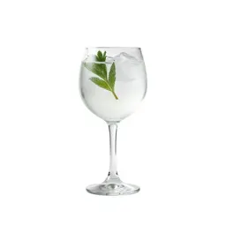 Gin and tonic with botanicals
