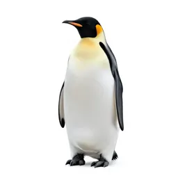 Emperor penguin with a chick