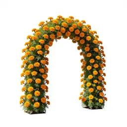 Marigold arch