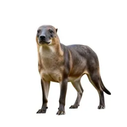 Kelpie rising from water