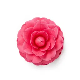 Camellia bloom