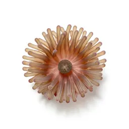 Anemone