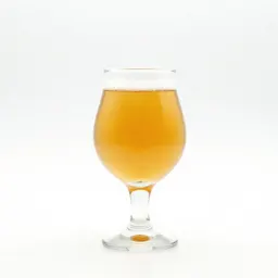 Craft beer in a tulip glass