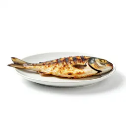 Grilled fish on a plate