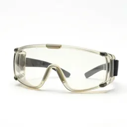 Pair of safety goggles