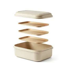 Bento lunch box