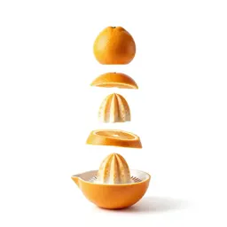 Citrus juicer