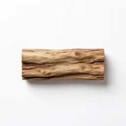 Piece of petrified wood