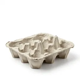 Moulded pulp egg carton