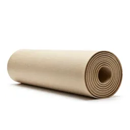 Rolled tube poster case
