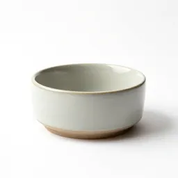 Ceramic dog bowl