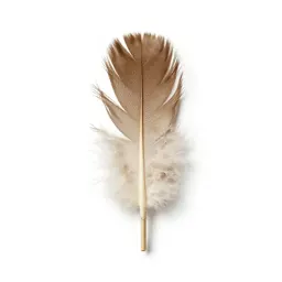Feather wand toy