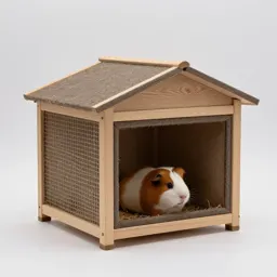 Guinea pig hutch