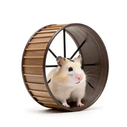 Hamster wheel