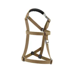 Harness with a handle