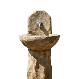 Automatic water fountain