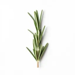 Rosemary sprig