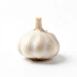 Bulb of garlic