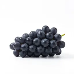 Bunch of black grapes