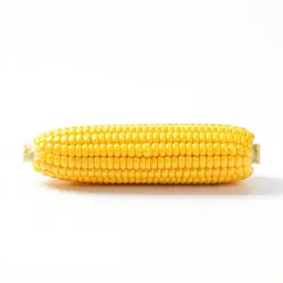 Corn cob with husk peeled