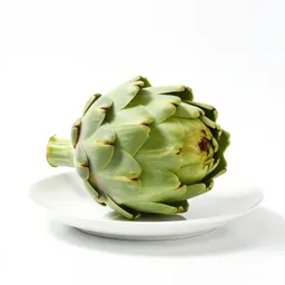 Globe artichoke