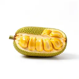 Jackfruit segment
