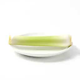 Leek