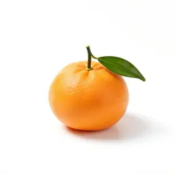 Mandarin with leaves