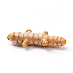 Turmeric root