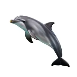 Dolphin mid-leap