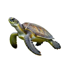 Green sea turtle
