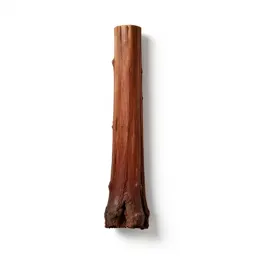 Coastal redwood