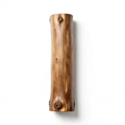 Kauri trunk