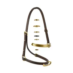 Bridle with brass fittings