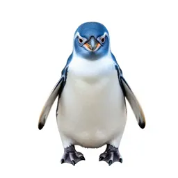 Little blue penguin