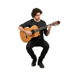 Flamenco guitarist