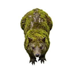 Forest spirit of moss and bark