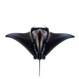 Manta ray gliding