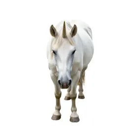 Unicorn at rest