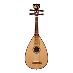 Bard's lute