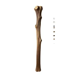 Gnarled wand