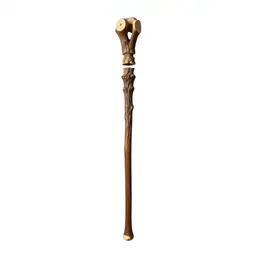 Wizard's staff